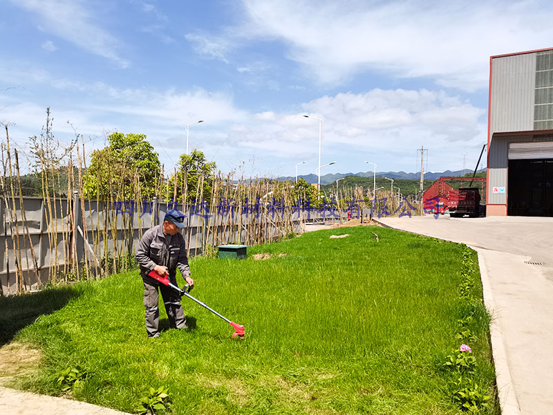 四川122cc太阳集成游戏新质料园区绿化