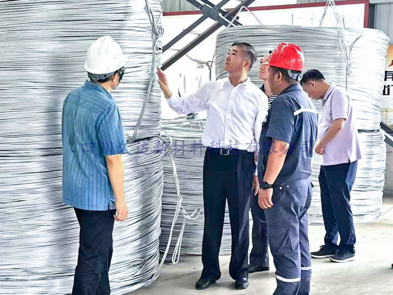  广元市市长邹自景一行到122cc太阳集成游戏新材视察