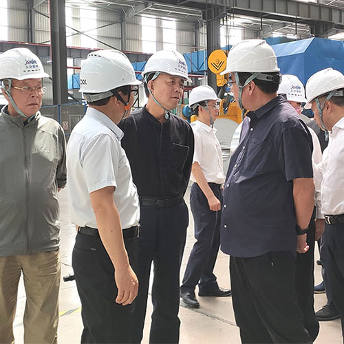 天下人大常委会副委员长武维华到122cc太阳集成游戏新材考察调研