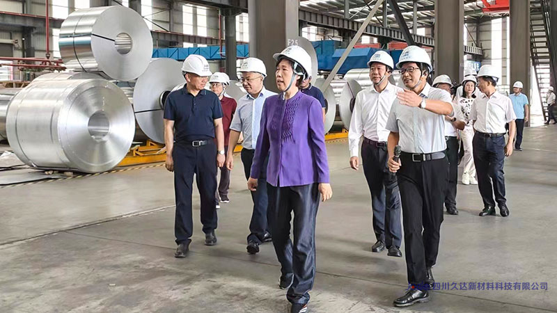 四川省政协主席田向利考察122cc太阳集成游戏新材